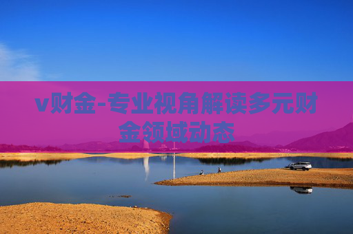 v财金-专业视角解读多元财金领域动态