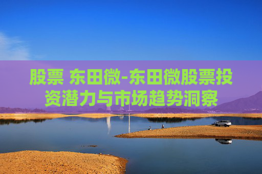 股票 东田微-东田微股票投资潜力与市场趋势洞察