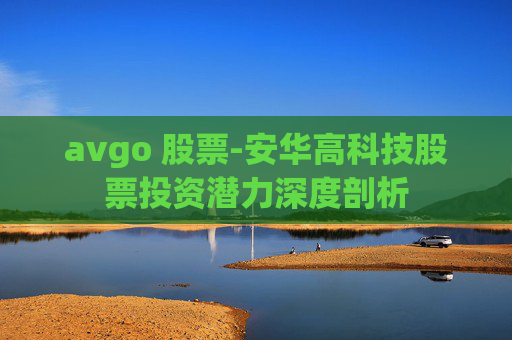 avgo 股票-安华高科技股票投资潜力深度剖析