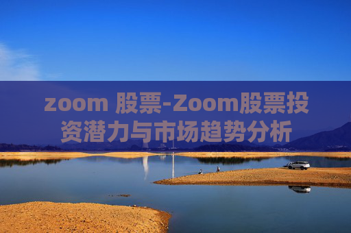 zoom 股票-Zoom股票投资潜力与市场趋势分析