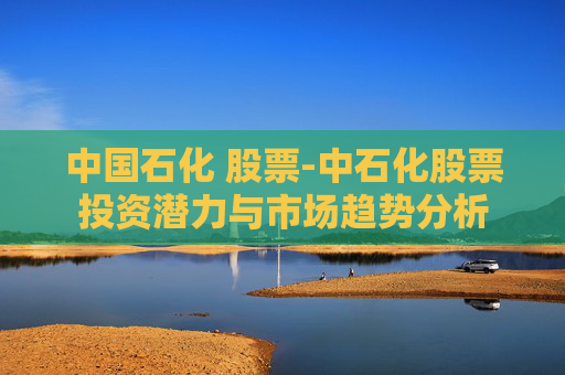 中国石化 股票-中石化股票投资潜力与市场趋势分析