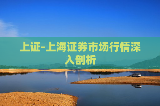 上证-上海证券市场行情深入剖析