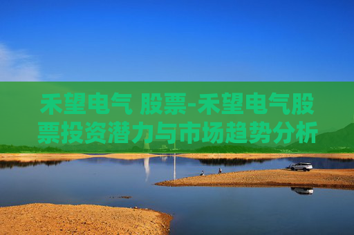 禾望电气 股票-禾望电气股票投资潜力与市场趋势分析