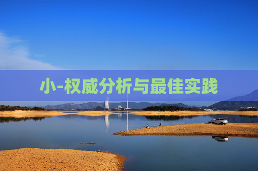 小-权威分析与最佳实践