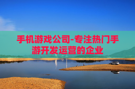 手机游戏公司-专注热门手游开发运营的企业