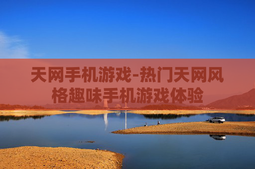 天网手机游戏-热门天网风格趣味手机游戏体验