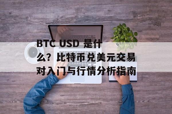 BTC USD 是什么？比特币兑美元交易对入门与行情分析指南