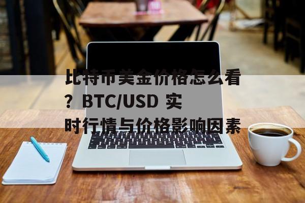 比特币美金价格怎么看？BTC/USD 实时行情与价格影响因素